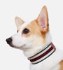 Pet Collar Woven Adjustable Neck Sleeve